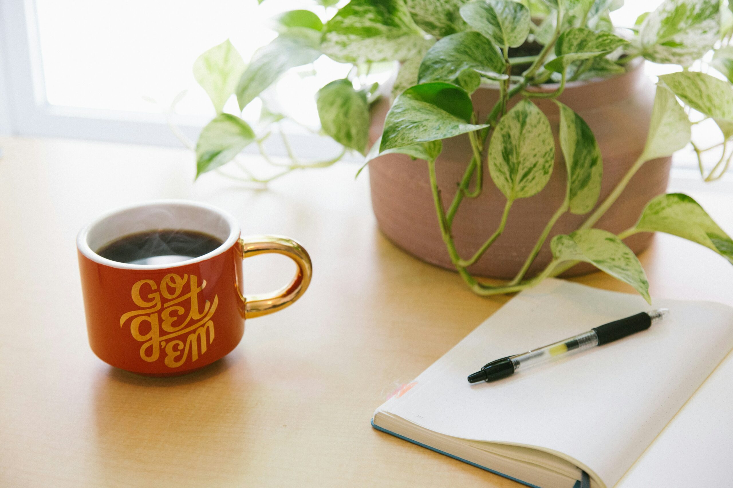 Café avec cahier et plante illustrant une scène du quotidien