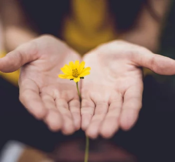 Illustration service entre de bonnes mains