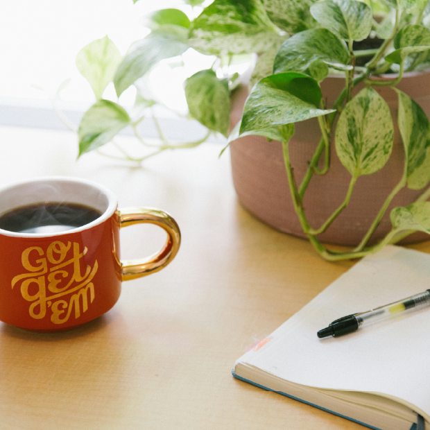 Illustration citation, café et plante